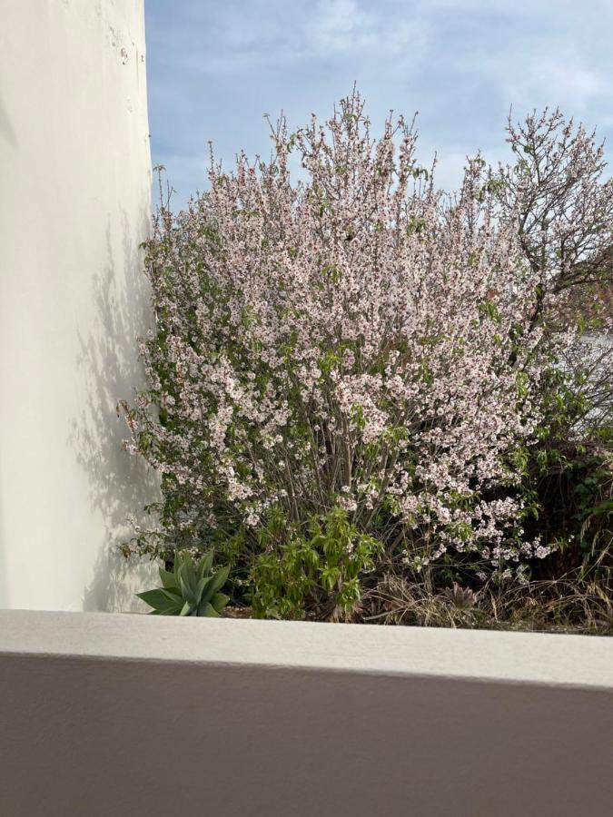 Casa Da Aldeia - Guest House Odiáxere Esterno foto